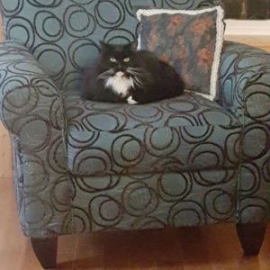 Meet your Posher, Trish